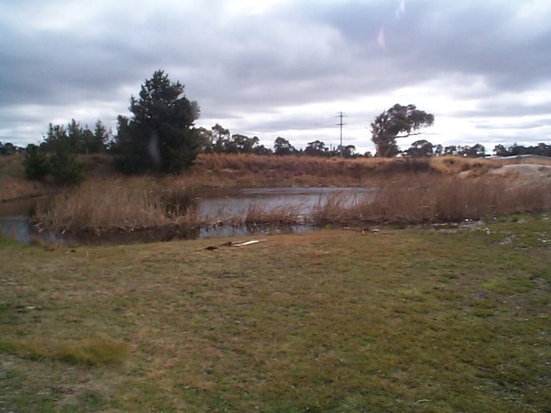 31 Schumann Lane, Thulimbah QLD 4376