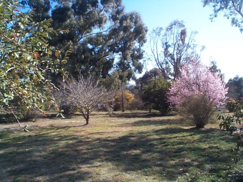 93 Hale Haven Drive, Stanthorpe QLD 4380
