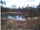 181 Knibb Road, Stanthorpe QLD 4380