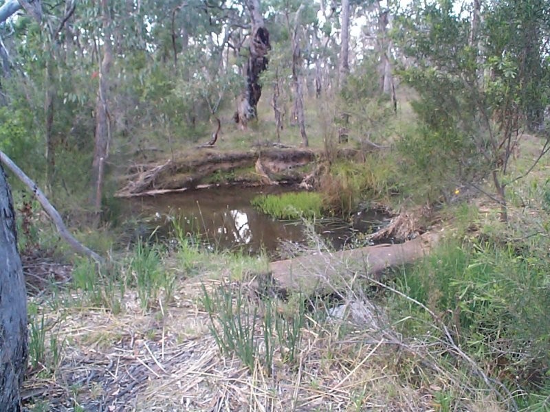 Glen Aplin QLD 4381