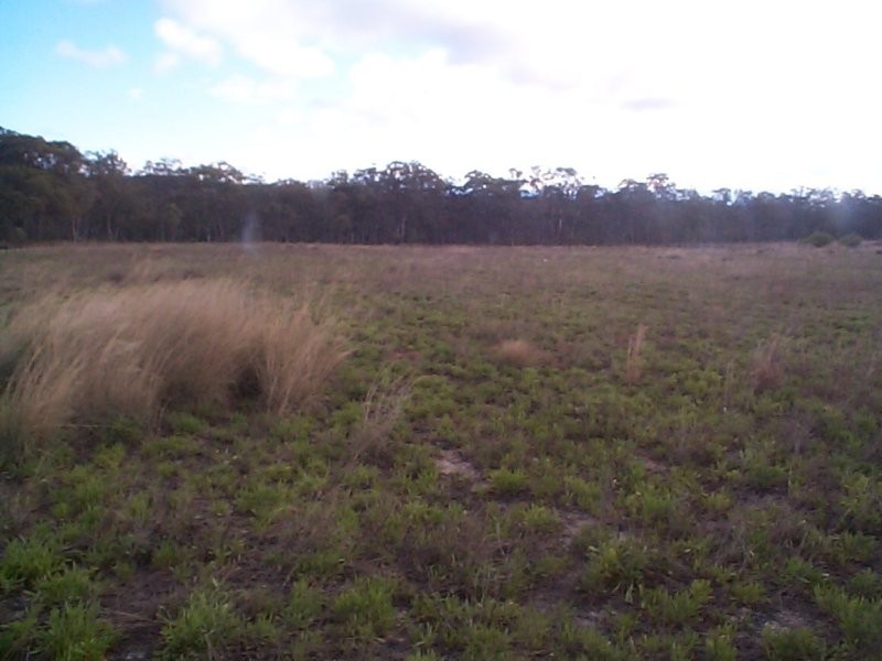 Glen Aplin QLD 4381