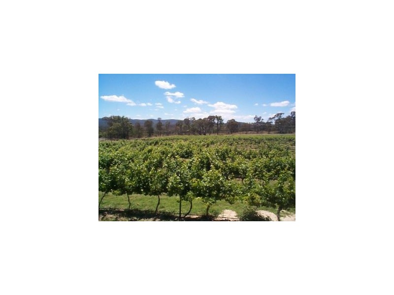 137 Fletcher Road, Ballandean QLD 4382