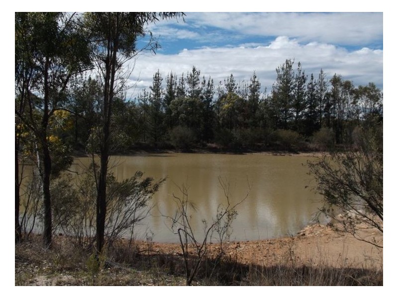 1008 Nundubbermere Road, Nundubbermere QLD 4380