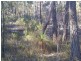 1008 Nundubbermere Road, Nundubbermere QLD 4380