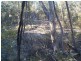 1008 Nundubbermere Road, Nundubbermere QLD 4380