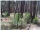 Stanthorpe QLD 4380