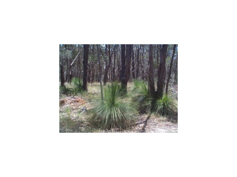 Stanthorpe QLD 4380