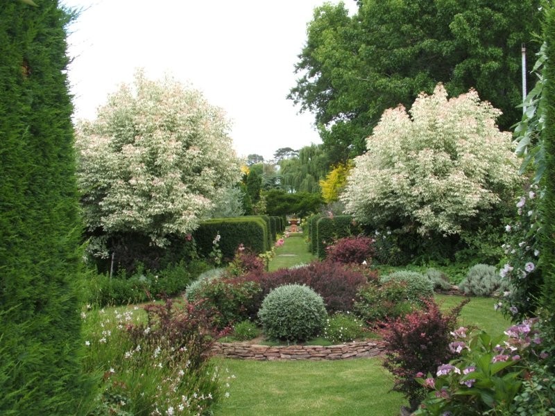 49 Lock Street, Stanthorpe QLD 4380