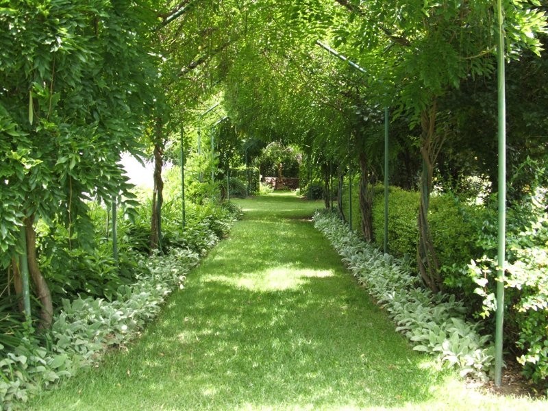 49 Lock Street, Stanthorpe QLD 4380