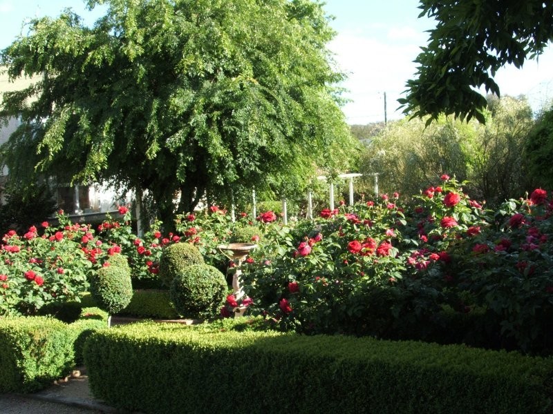 49 Lock Street, Stanthorpe QLD 4380