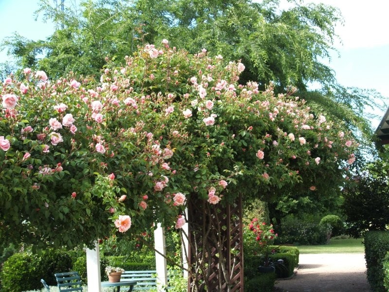 49 Lock Street, Stanthorpe QLD 4380