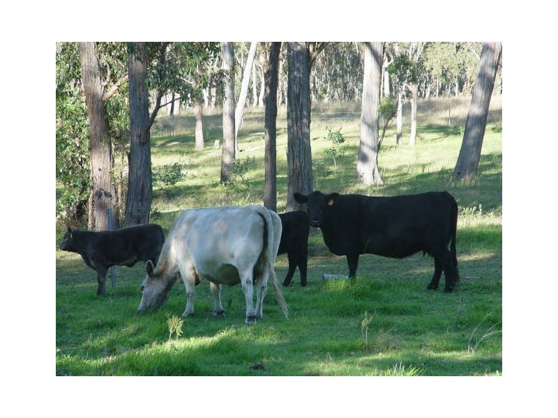 354a Eukey Road, Stanthorpe QLD 4380