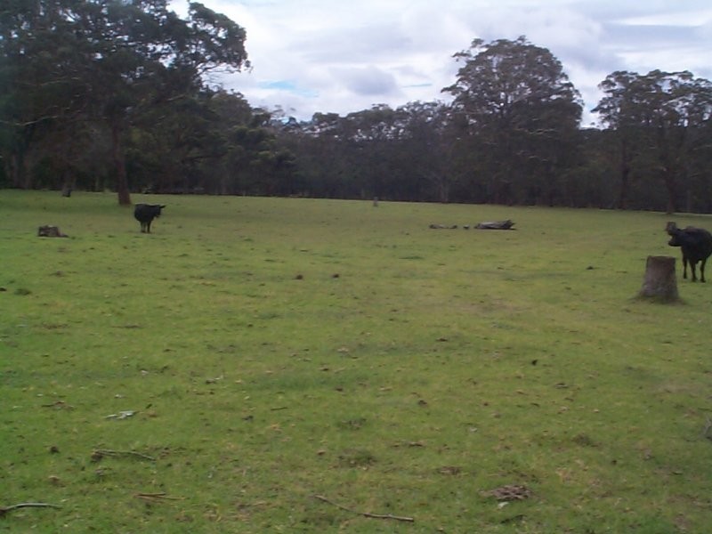 36 Tenterfield Street, Stanthorpe QLD 4380