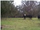 36 Tenterfield Street, Stanthorpe QLD 4380