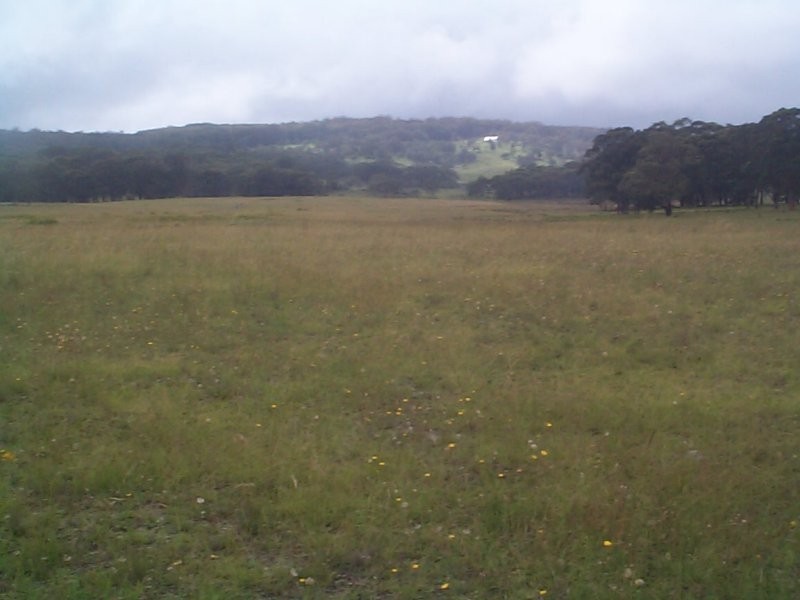 Stanthorpe QLD 4380
