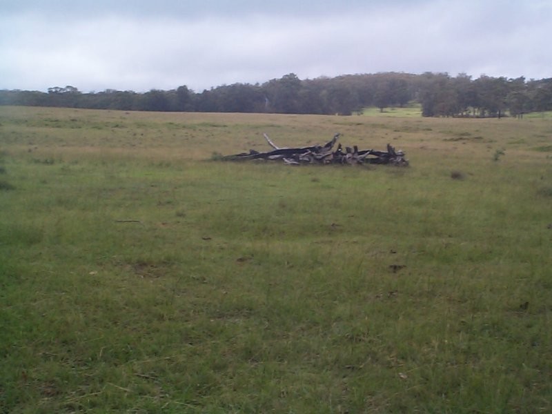 Stanthorpe QLD 4380