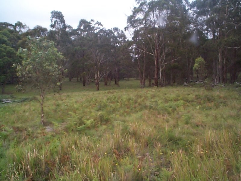 Stanthorpe QLD 4380