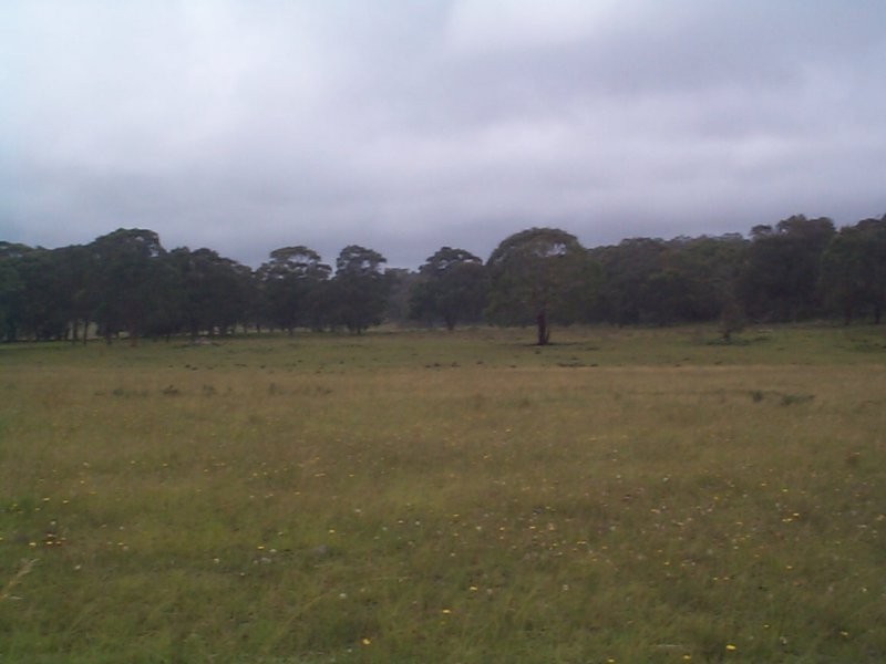 Stanthorpe QLD 4380