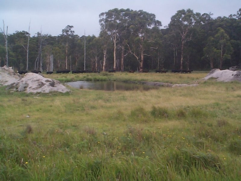 Stanthorpe QLD 4380