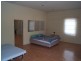 9 cavallaro, Glen Aplin QLD 4381