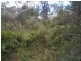 111 Diamondvale Road, Stanthorpe QLD 4380