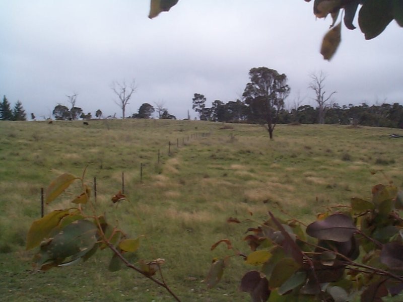 11 Sorrento Road, Dalveen QLD 4374