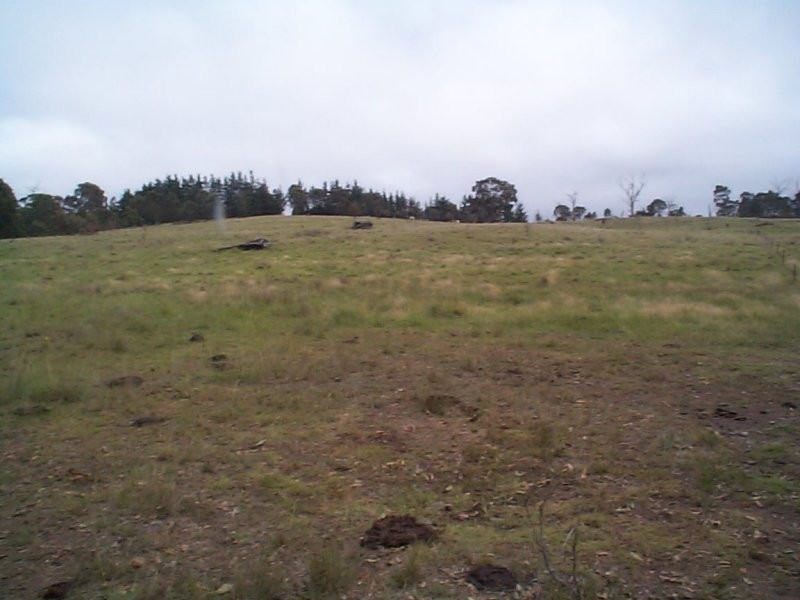 11 Sorrento Road, Dalveen QLD 4374