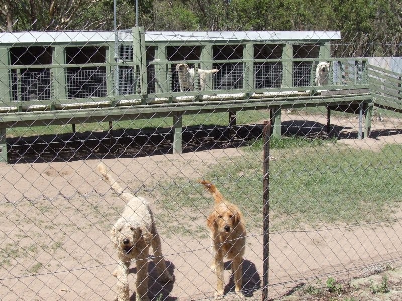 1 New England Highway, Dalveen QLD 4374