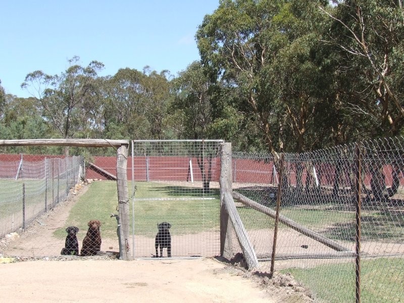 1 New England Highway, Dalveen QLD 4374