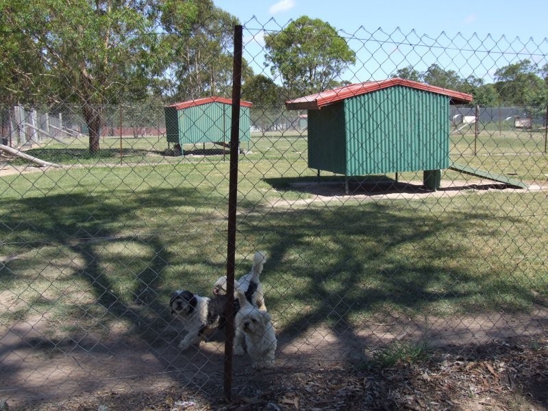 1 New England Highway, Dalveen QLD 4374