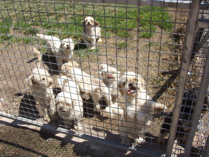 1 New England Highway, Dalveen QLD 4374