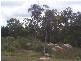 Stanthorpe QLD 4380