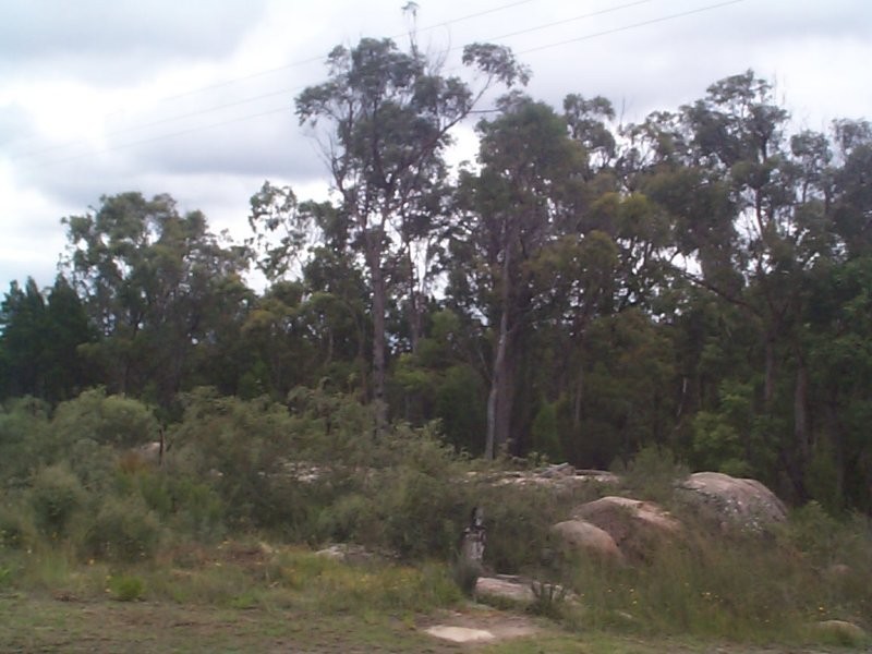 Stanthorpe QLD 4380