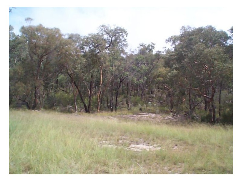 2095 Eukey, Stanthorpe QLD 4380