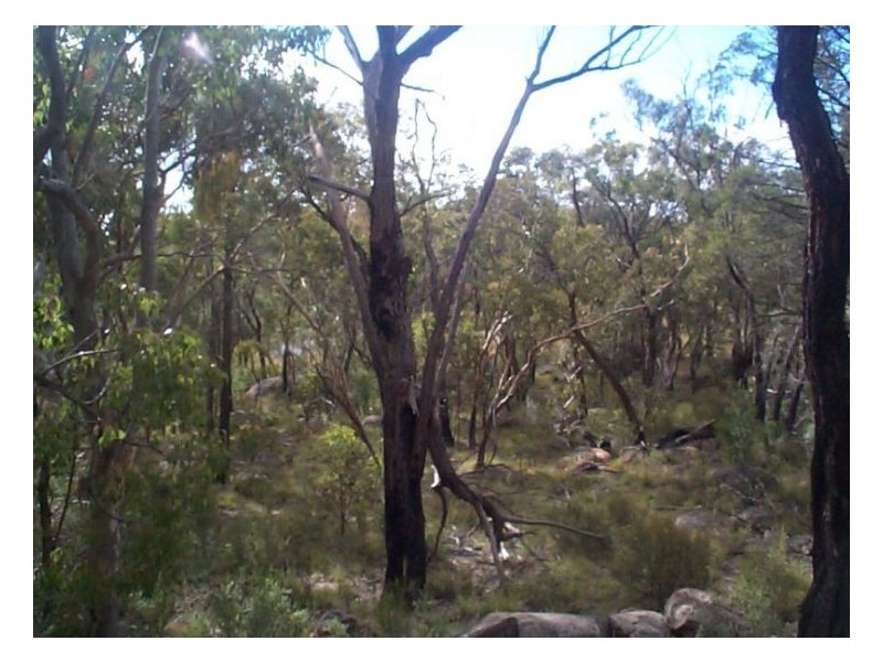 2095 Eukey, Stanthorpe QLD 4380