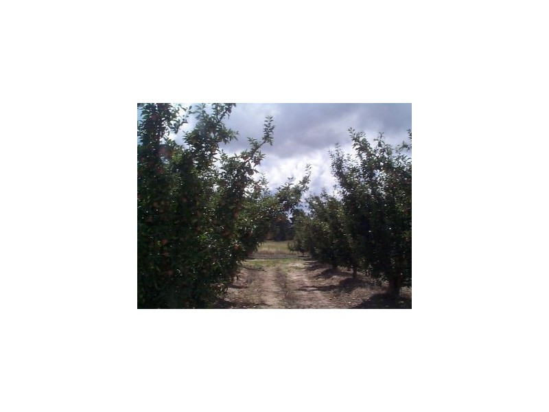 99 Gangemi Road, Fleurbaix QLD 4375