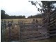 1186 Texas Road, Stanthorpe QLD 4380