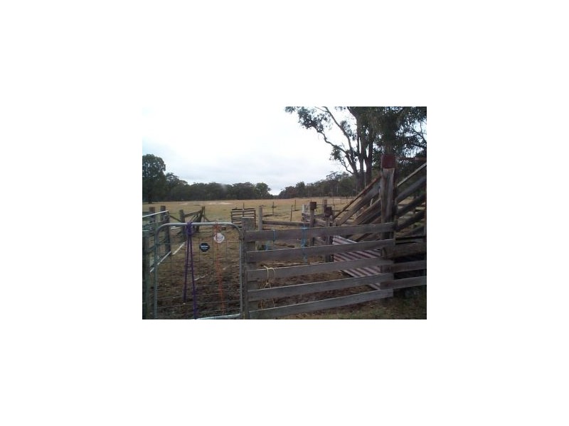 1186 Texas Road, Stanthorpe QLD 4380