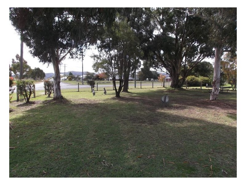61 Woodlawn Street, Wallangarra QLD 4383