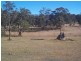93 Old Coach Road, Dalveen QLD 4374