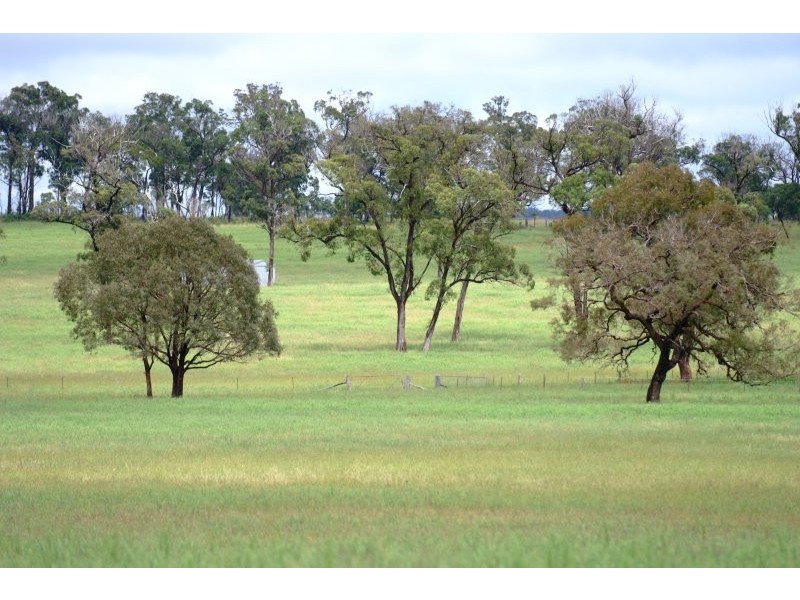 1060 Sugarloaf Road, Stanthorpe QLD 4380