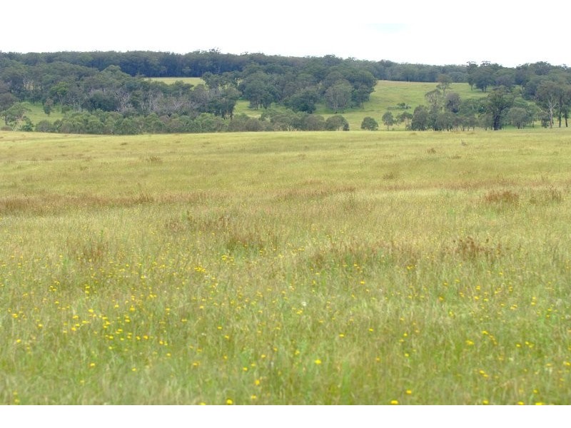 1060 Sugarloaf Road, Stanthorpe QLD 4380