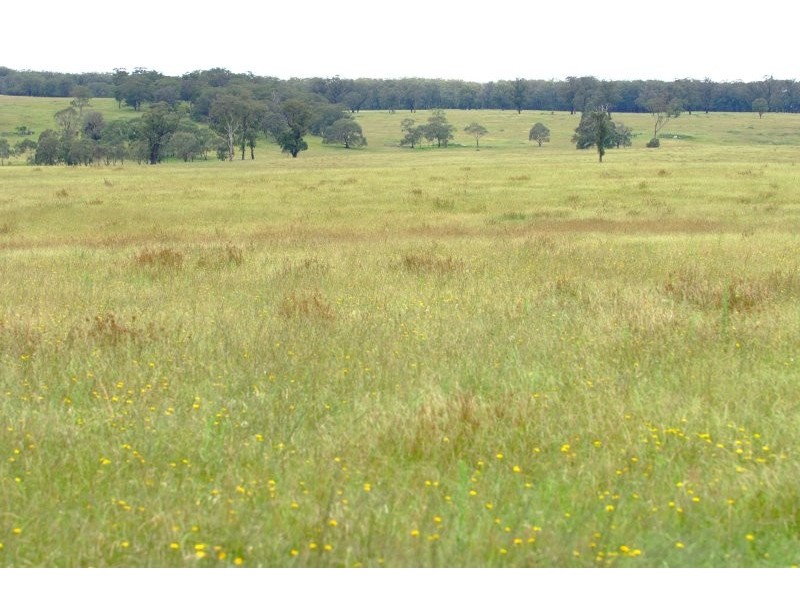 1060 Sugarloaf Road, Stanthorpe QLD 4380