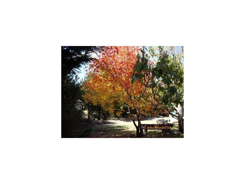 215 Butler Road, Amiens QLD 4352