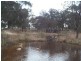 1061 Sugarloaf Road, Stanthorpe QLD 4380