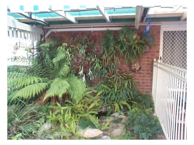 7 Rich Street, Stanthorpe QLD 4380