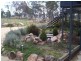 61 Rapisarda Lane, Ballandean QLD 4382