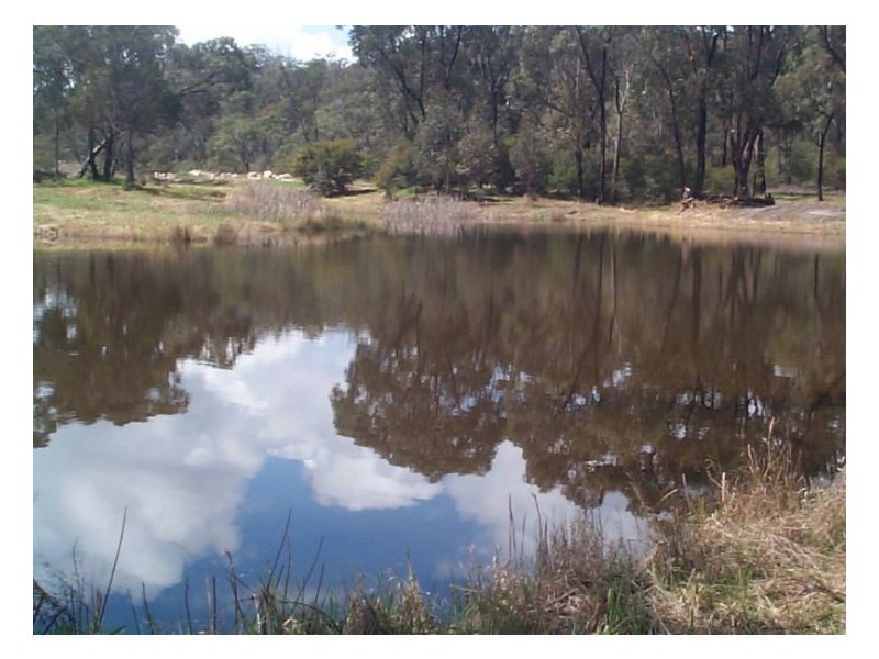 110 Donnellys Castle Road, The Summit QLD 4377