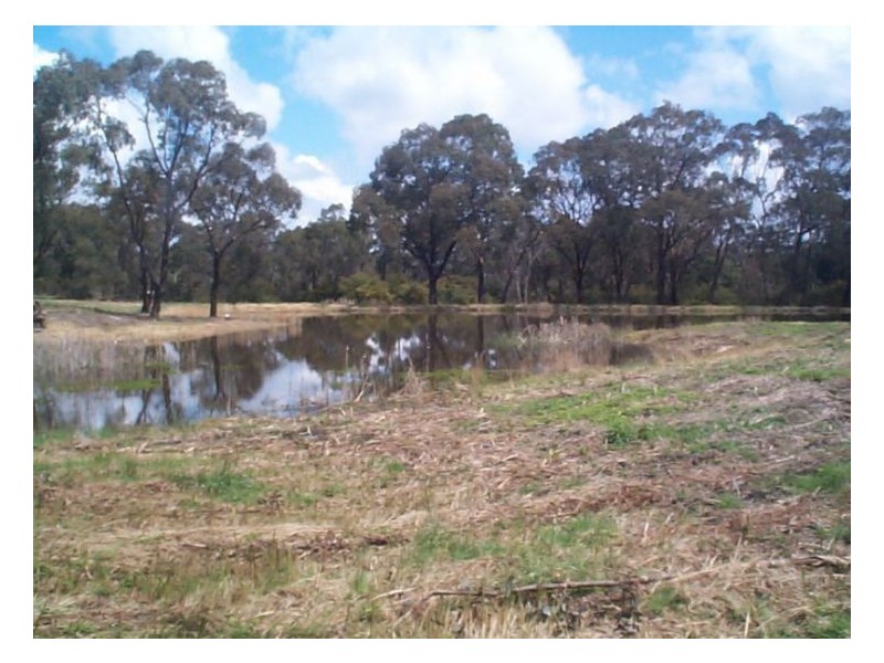 110 Donnellys Castle Road, The Summit QLD 4377