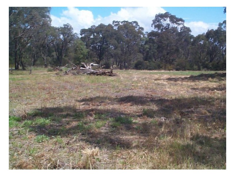 110 Donnellys Castle Road, The Summit QLD 4377